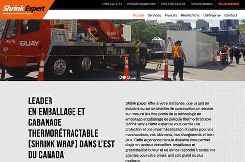 Conception du site Web WordPress de Shrink Expert à Québec - Dialoguenet.ca