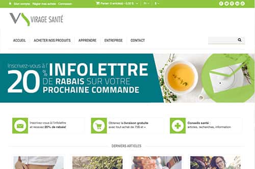 Conception du site Web WordPress de Virage Santé à Lévis - Dialoguenet.ca